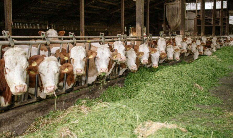 Mindenki kínlódik, de az egyik szektor kész aranybánya