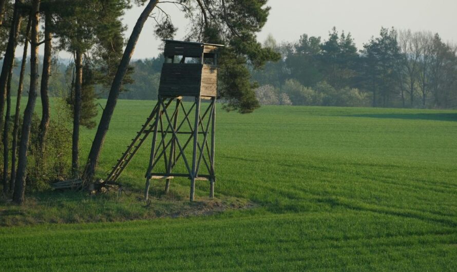 Tájékoztató a tavaszi vadkár-megelőzési feladatokról, a technikai eszközök használatáról és a mezei pocok elleni védekezés lehetőségeiről