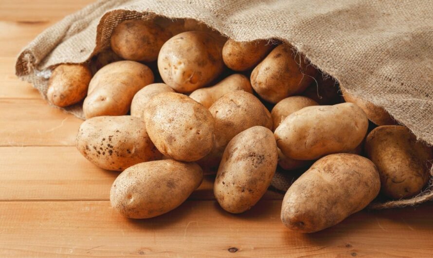 Padlón a burgonya ára