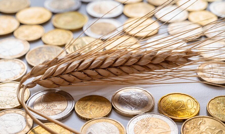 Elszállhat a búza és a kukorica ára