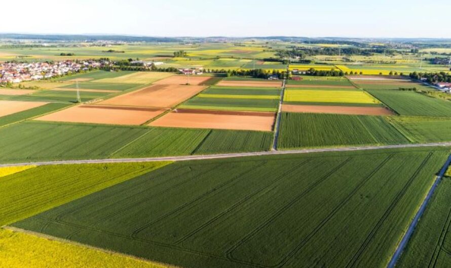 Milyen speciális szabályok vonatkoznak az államtól vásárolt földekre?