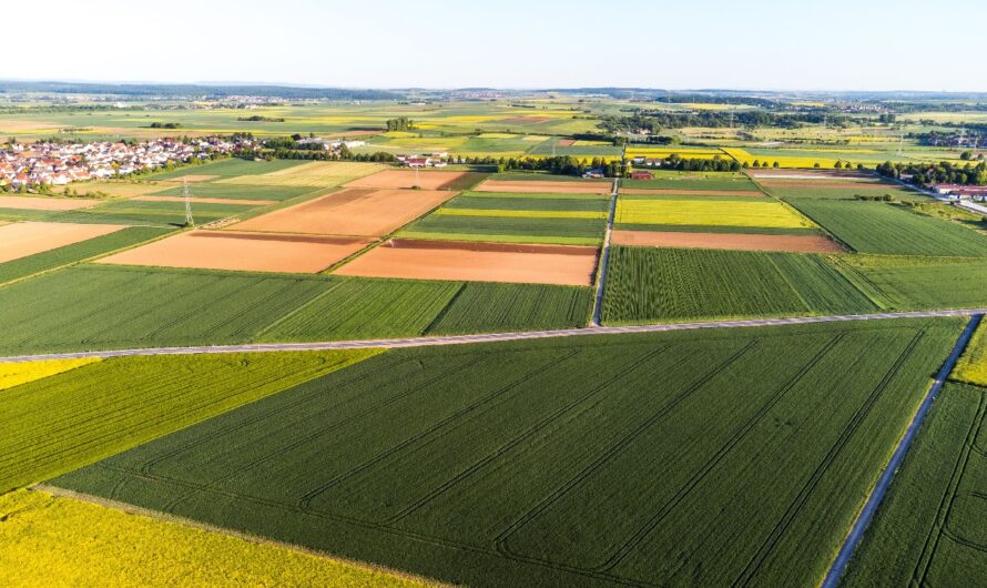 Bajban a mezőgazdaság, ijesztő számok láttak napvilágot – kemény üzenetet küldött a KSH