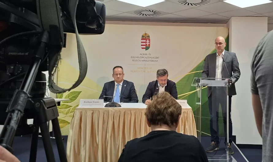 Valóban 1,5 millió tonna az ország kukoricatermése, hatalmas az importigény