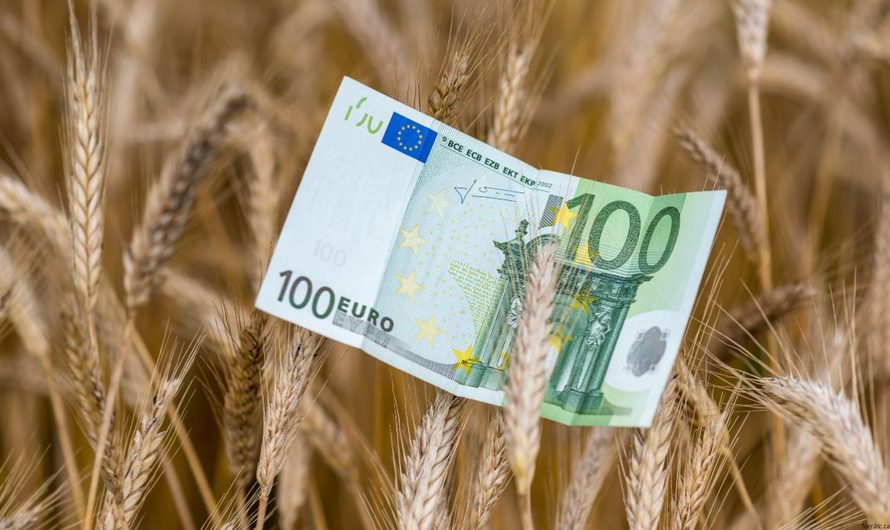 Védett agrárbüdzsét követelnek az európai gazdaszervezetek – Stockholmból üzentek Brüsszelnek