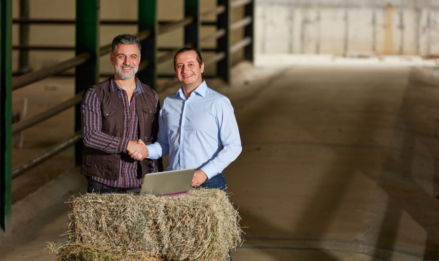 Több hitelt vesznek fel a gazdák – de mennyiért?